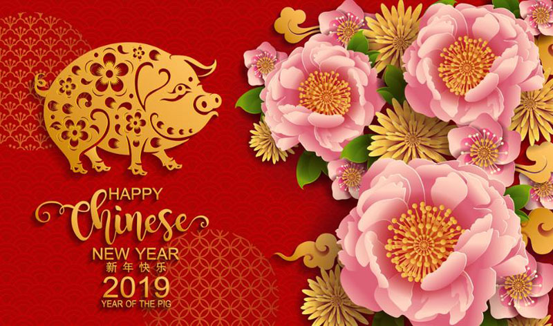 2019年元旦快乐happy new year
