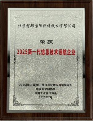 2025新一代信息技术领航企业